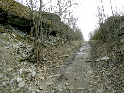 photo20.jpg