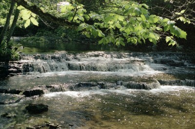 photo21.jpg