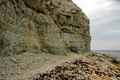 photo22.jpg
