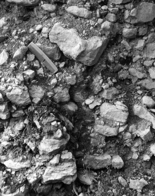 photo29.jpg