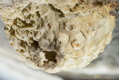 photo35.jpg