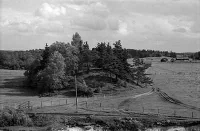 photo4.jpg