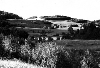 photo46.jpg