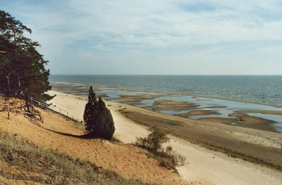 photo54.jpg