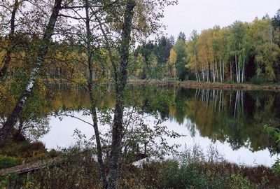 photo57.jpg