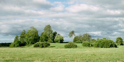 photo62.jpg