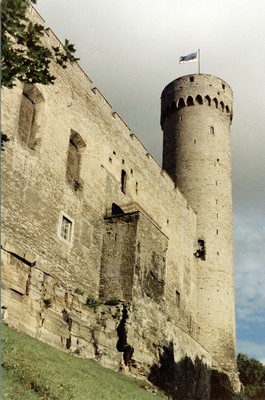 photo67.jpg