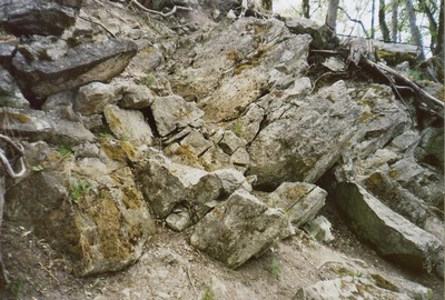 photo74.jpg